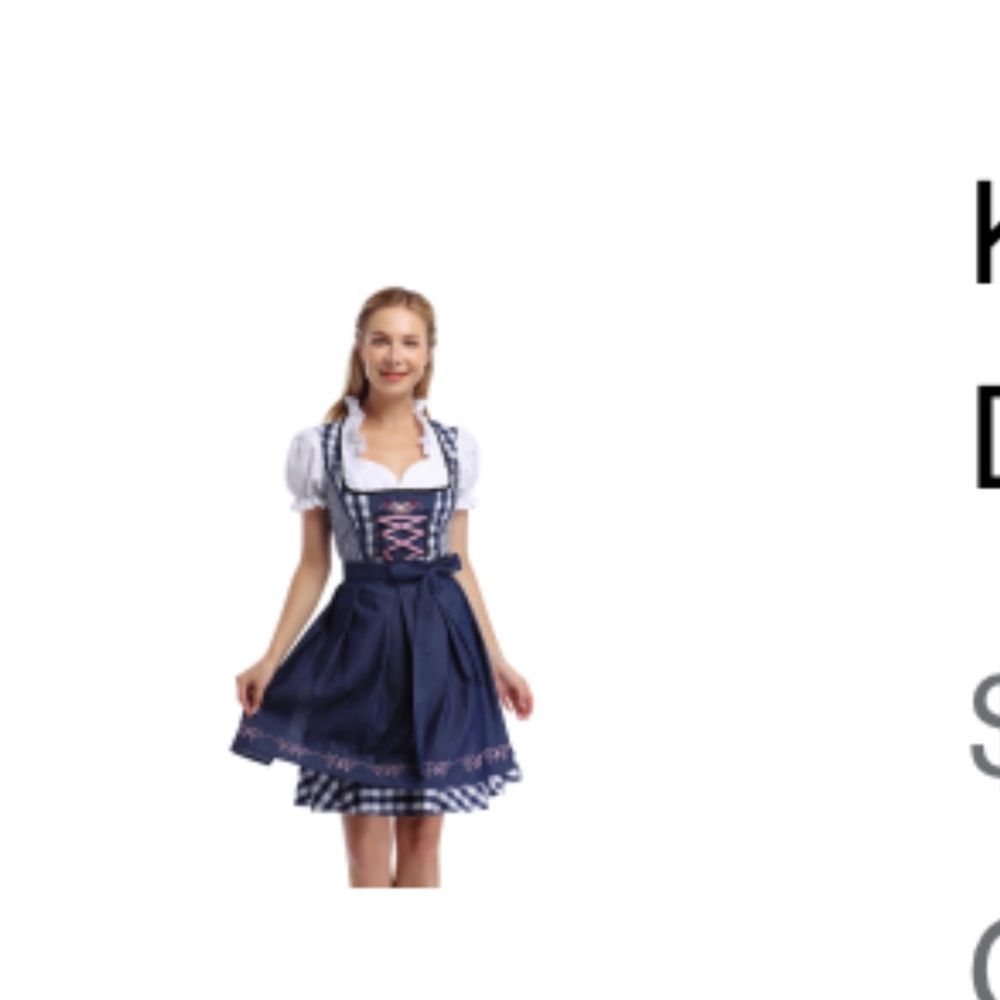 Women’s Large Blue Gingham Dirndl
